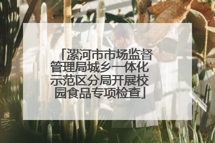 漯河市市场监督管理局城乡一体化示范区分局开展校园食品专项检查