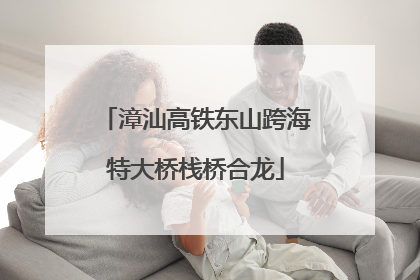 漳汕高铁东山跨海特大桥栈桥合龙