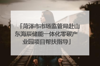 菏泽市市场监管局赴山东海辰储能一体化零碳产业园项目帮扶指导