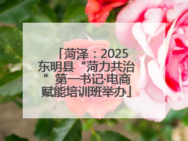 菏泽：2025东明县“菏力共治”第一书记·电商赋能培训班举办