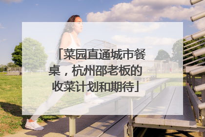 菜园直通城市餐桌，杭州邵老板的收菜计划和期待