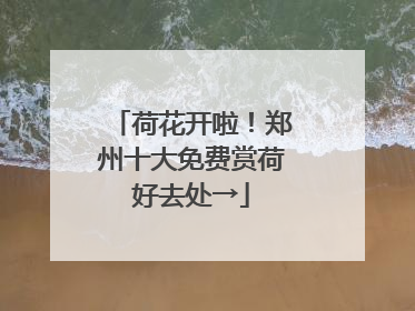 荷花开啦！郑州十大免费赏荷好去处→