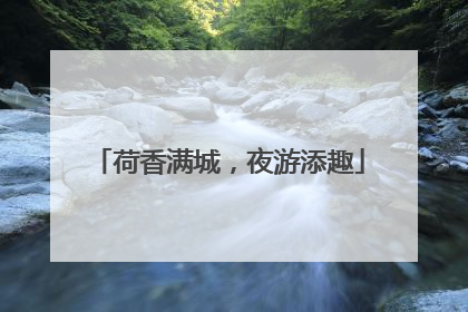 荷香满城，夜游添趣