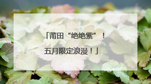 莆田“绝绝紫”！五月限定浪漫！