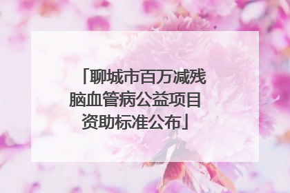 聊城市百万减残脑血管病公益项目资助标准公布