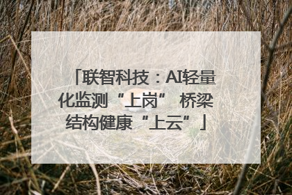 联智科技：AI轻量化监测“上岗” 桥梁结构健康“上云”