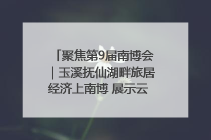 聚焦第9届南博会｜玉溪抚仙湖畔旅居经济上南博 展示云南生活新样本