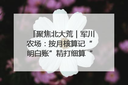聚焦北大荒｜军川农场：按月核算记“明白账”精打细算“过紧日子”