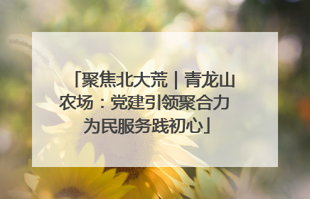聚焦北大荒｜青龙山农场：党建引领聚合力 为民服务践初心