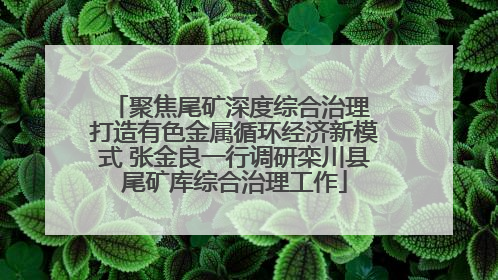 聚焦尾矿深度综合治理 打造有色金属循环经济新模式 张金良一行调研栾川县尾矿库综合治理工作