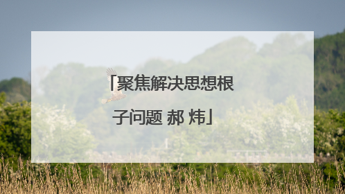 聚焦解决思想根子问题 郝 炜