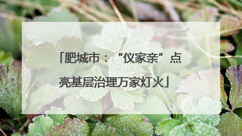 肥城市：“仪家亲”点亮基层治理万家灯火