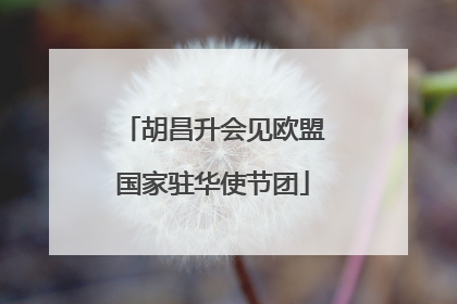 胡昌升会见欧盟国家驻华使节团