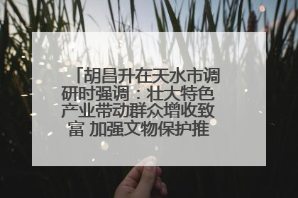 胡昌升在天水市调研时强调：壮大特色产业带动群众增收致富 加强文物保护推动文化创新发展