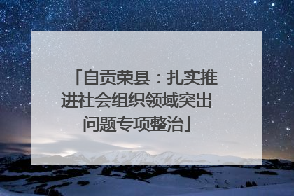 自贡荣县：扎实推进社会组织领域突出问题专项整治