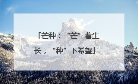 芒种：“芒”着生长，“种”下希望