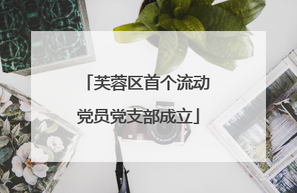 芙蓉区首个流动党员党支部成立