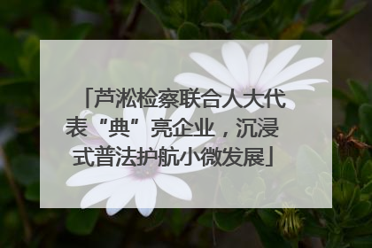芦淞检察联合人大代表“典”亮企业，沉浸式普法护航小微发展