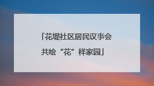花堤社区居民议事会共绘“花”样家园