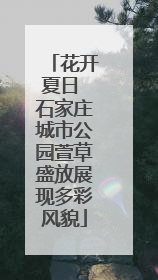 花开夏日 石家庄城市公园萱草盛放展现多彩风貌