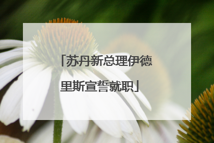 苏丹新总理伊德里斯宣誓就职
