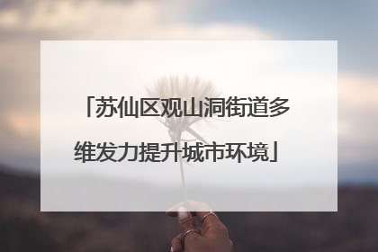 苏仙区观山洞街道多维发力提升城市环境