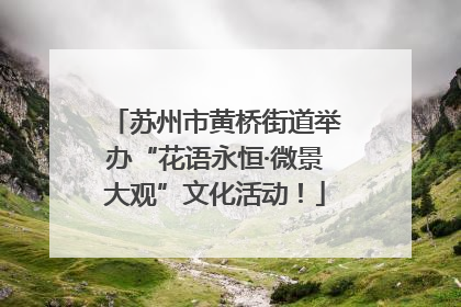 苏州市黄桥街道举办“花语永恒·微景大观”文化活动！