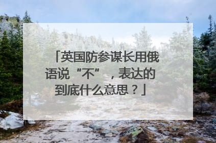 英国防参谋长用俄语说“不”，表达的到底什么意思？