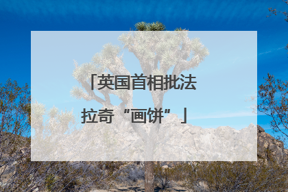 英国首相批法拉奇“画饼”