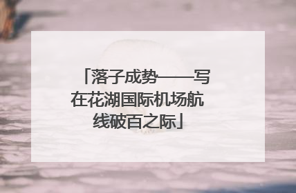 落子成势——写在花湖国际机场航线破百之际