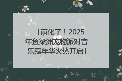 萌化了！2025年鱼梁洲宠物派对音乐嘉年华火热开启