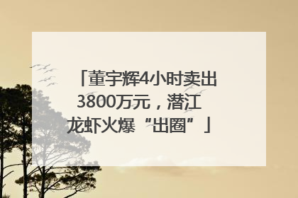董宇辉4小时卖出3800万元，潜江龙虾火爆“出圈”