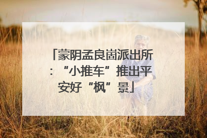 蒙阴孟良崮派出所：“小推车”推出平安好“枫”景