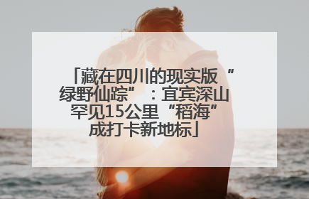 藏在四川的现实版“绿野仙踪”：宜宾深山罕见15公里“稻海”成打卡新地标