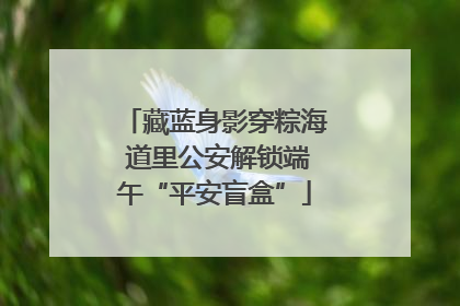 藏蓝身影穿粽海 道里公安解锁端午“平安盲盒”
