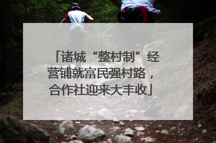 诸城“整村制”经营铺就富民强村路，合作社迎来大丰收