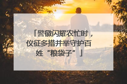 警徽闪耀农忙时，仪征多措并举守护百姓“粮袋子”