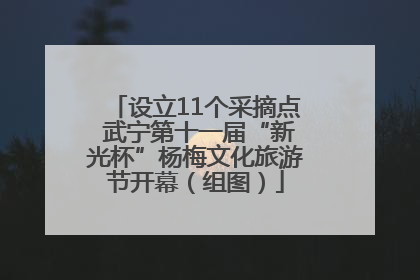 设立11个采摘点 武宁第十一届“新光杯”杨梅文化旅游节开幕（组图）