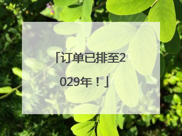 订单已排至2029年！