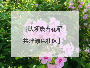 认领废弃花箱 共建绿色社区