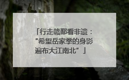 行走赣鄱看非遗：“希望岳家拳的身影遍布大江南北”