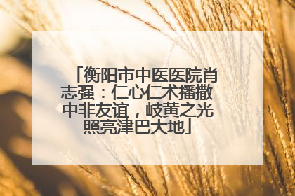 衡阳市中医医院肖志强：仁心仁术播撒中非友谊，岐黄之光照亮津巴大地