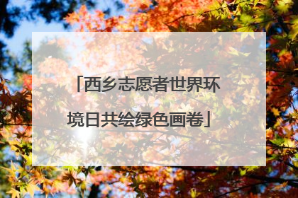 西乡志愿者世界环境日共绘绿色画卷
