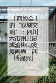 西博会上的“双城交响”：四川六市州共展成渝协同发展画卷｜西博视界