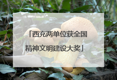 西充两单位获全国精神文明建设大奖