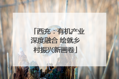 西充：有机产业深度融合 绘就乡村振兴新画卷