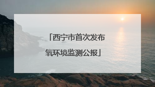 西宁市首次发布氧环境监测公报