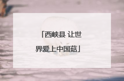 西峡县 让世界爱上中国菇