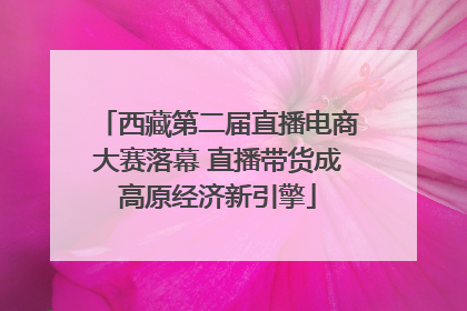 西藏第二届直播电商大赛落幕 直播带货成高原经济新引擎