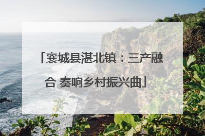 襄城县湛北镇：三产融合 奏响乡村振兴曲